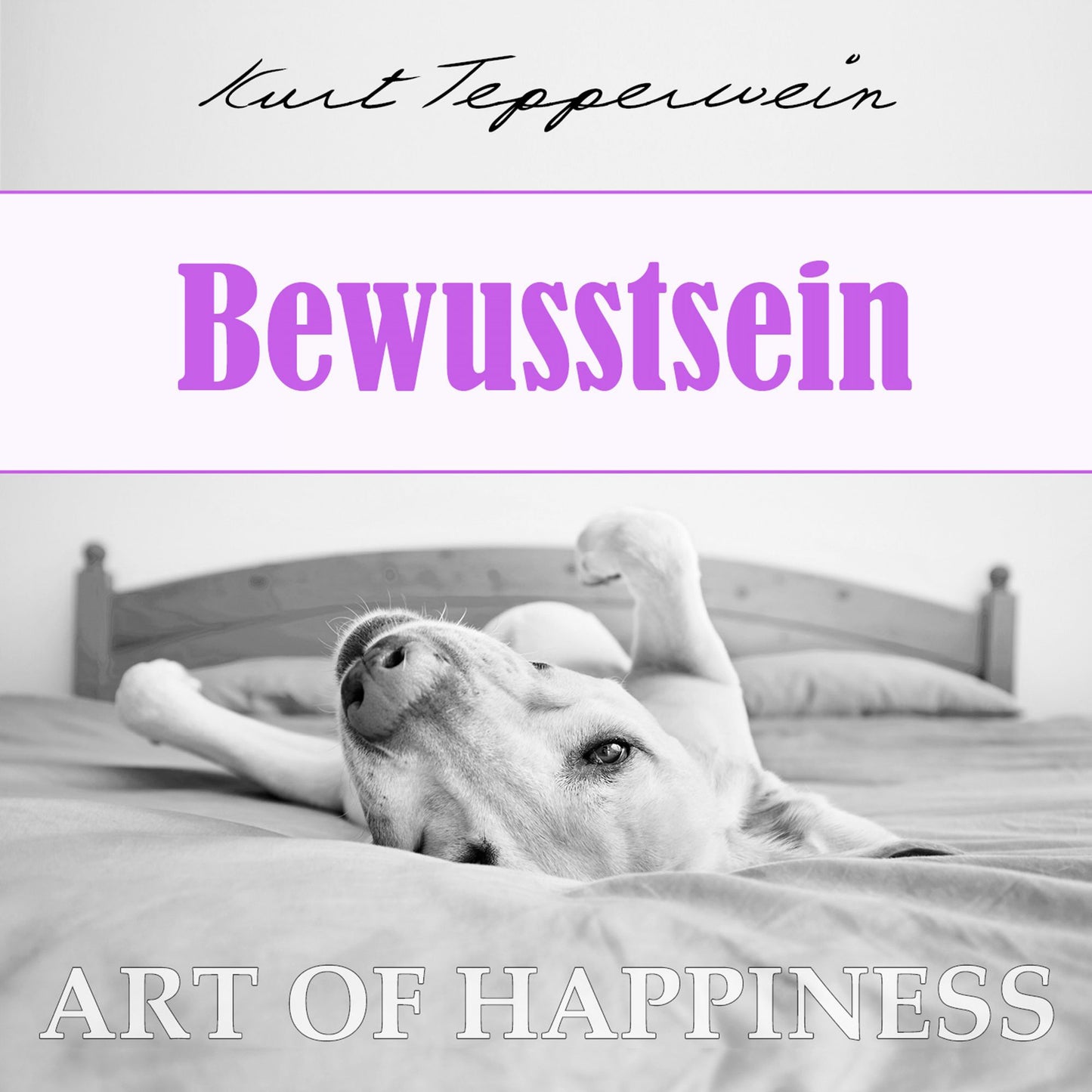 Art of Happiness: Bewusstsein