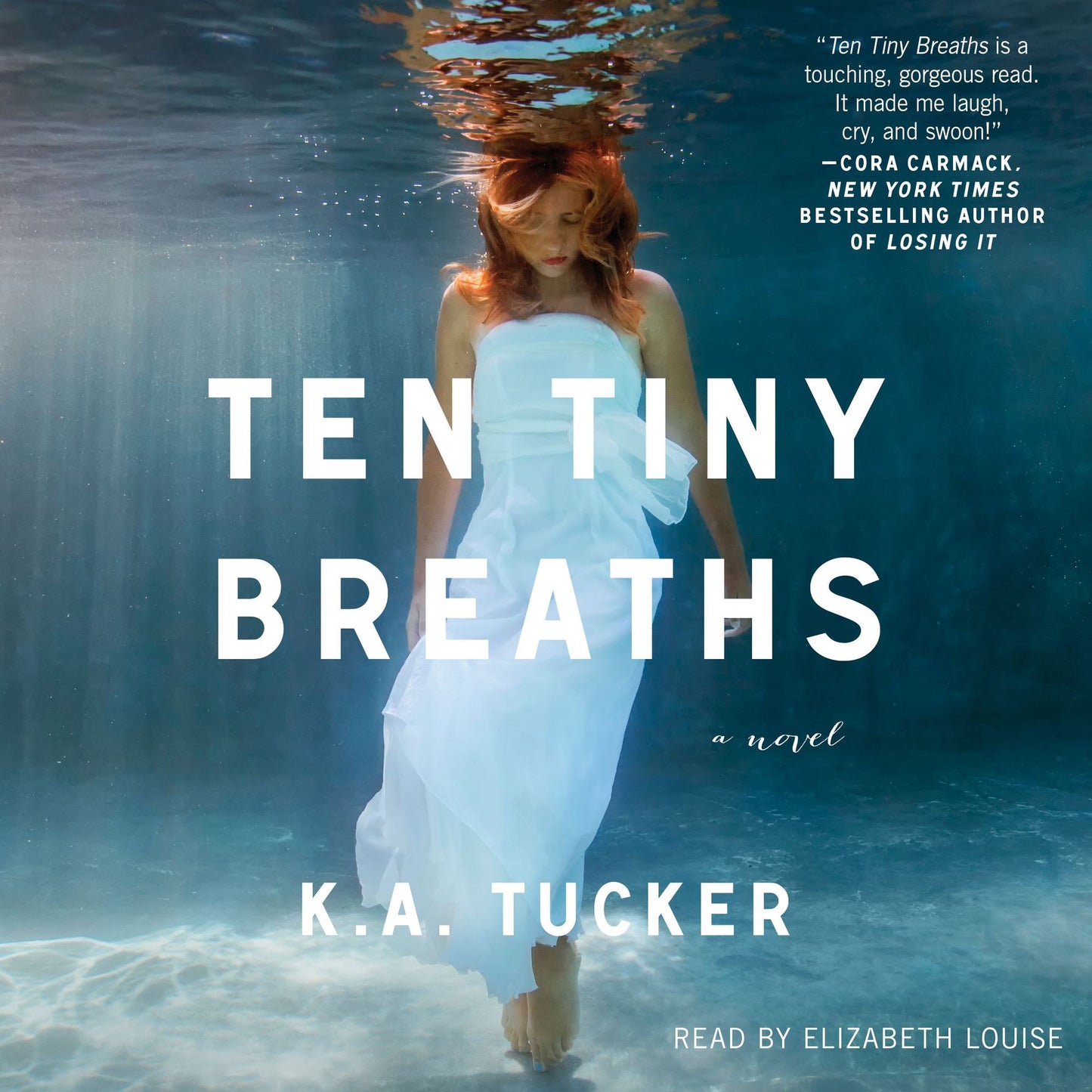 Ten Tiny Breaths: A Novel