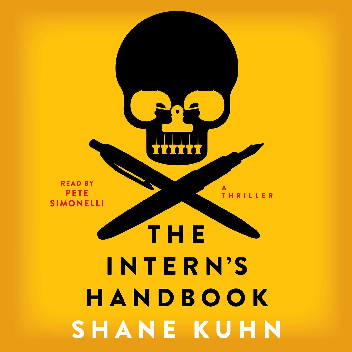 The Intern's Handbook: A Thriller