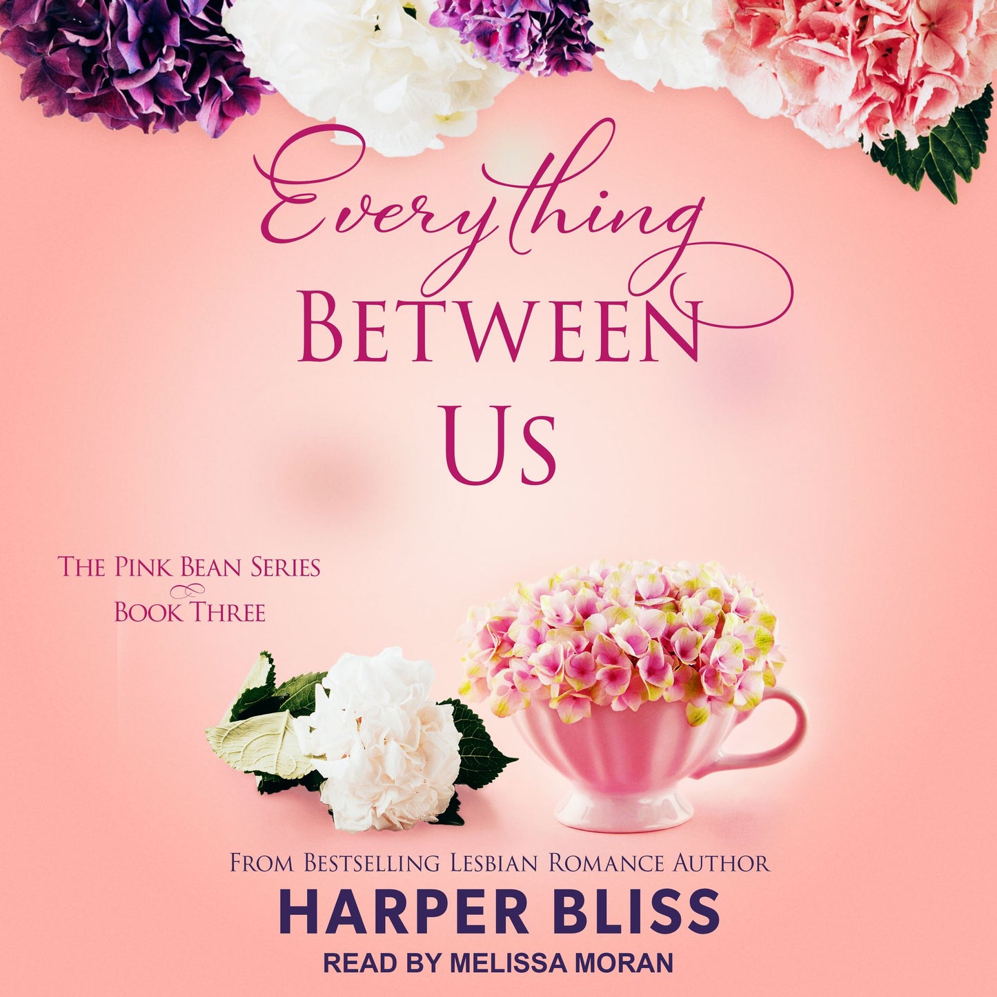 Everything Between Us: A Novel