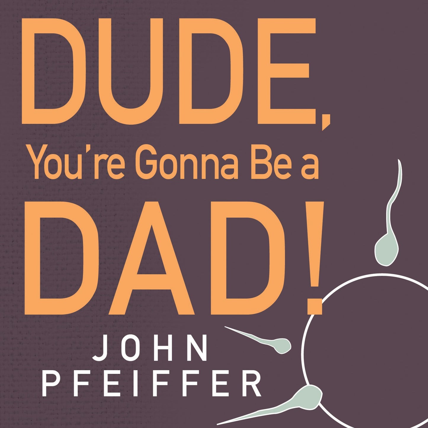Dude, You're Gonna Be a Dad!: How to Get Both of You Through the Next 9 Months