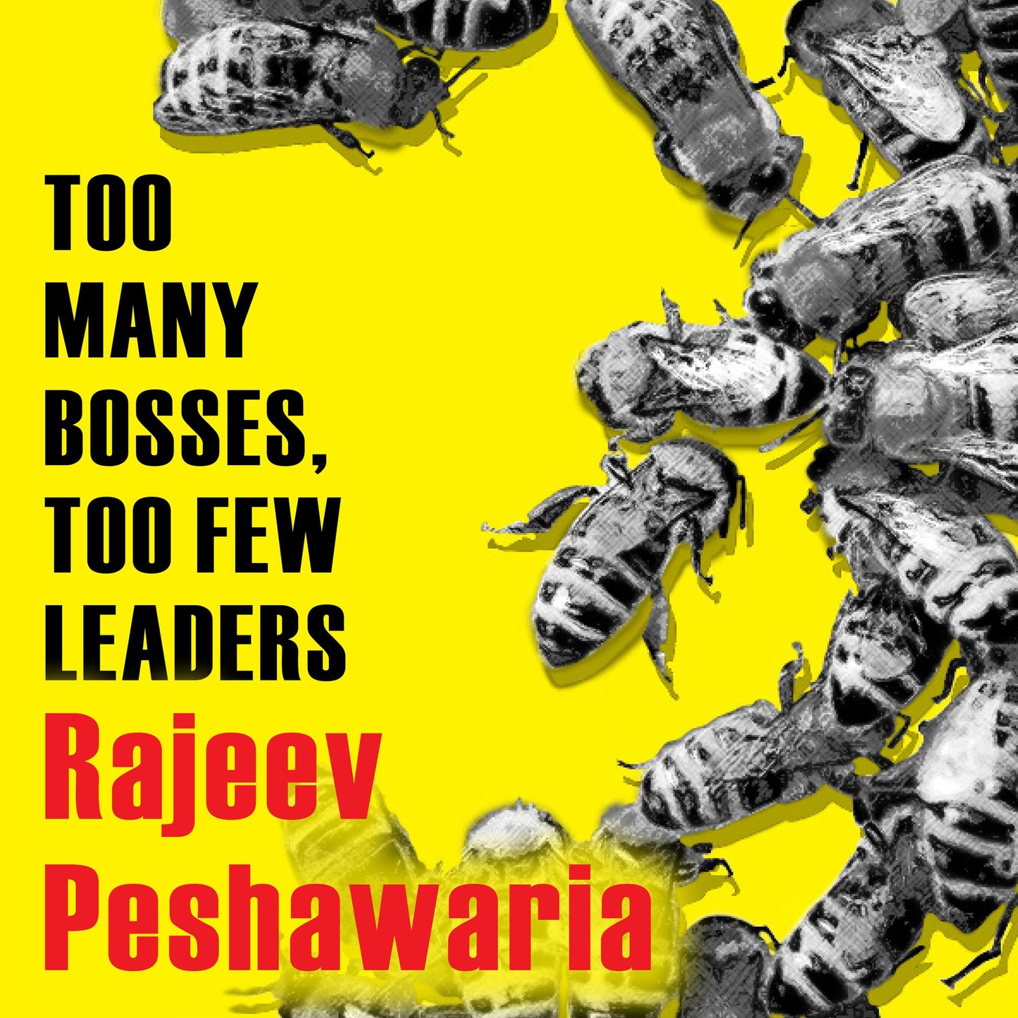 Too Many Bosses, Too Few Leaders: The Three Essential Principles You Need to Become an Extraordinary Leader