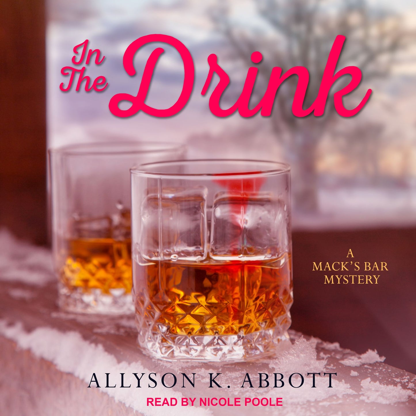 In the Drink: A Mack's Bar Mystery