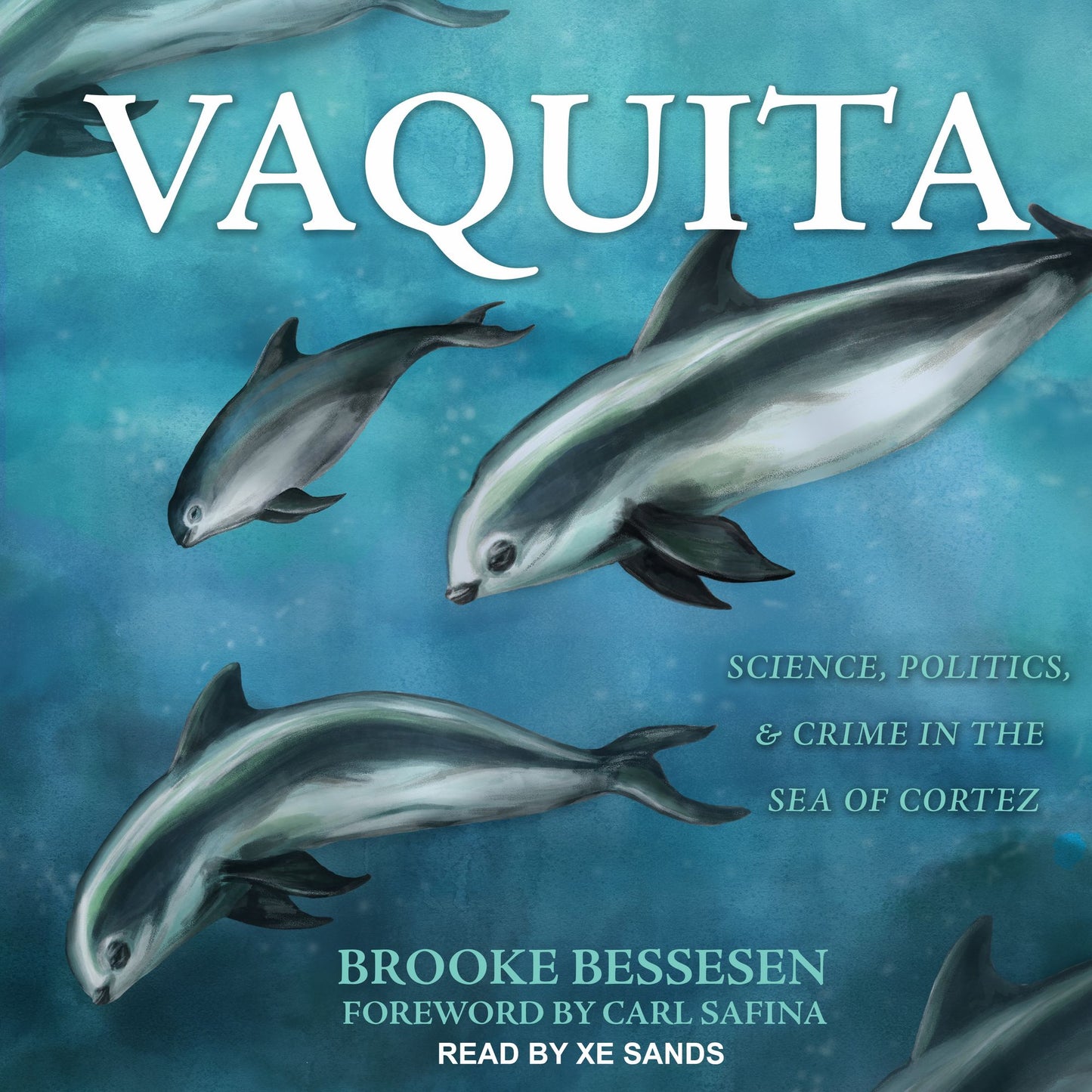 Vaquita: Science, Politics, & Crime in the Sea of Cortez