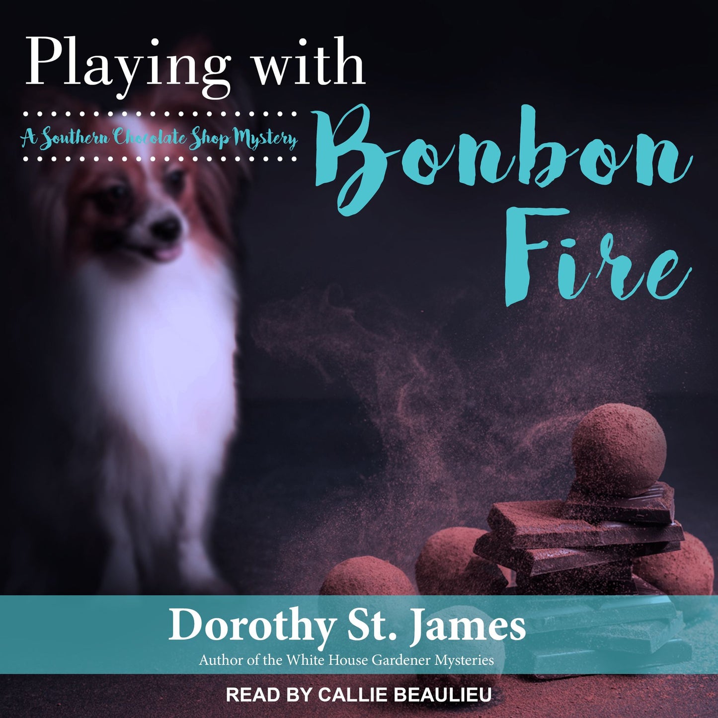 Playing With Bonbon Fire: A Southern Chocolate Shop Mystery