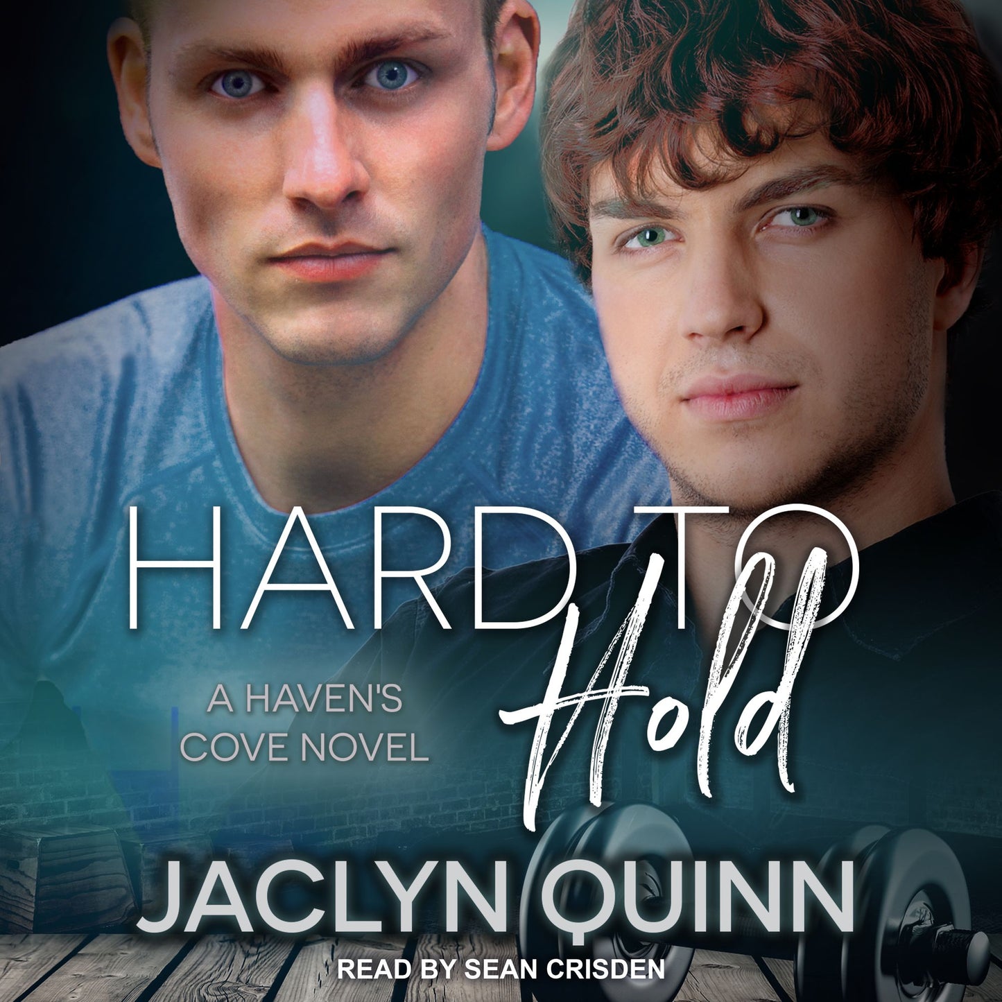 Hard to Hold : A Haven's Cove Novel
