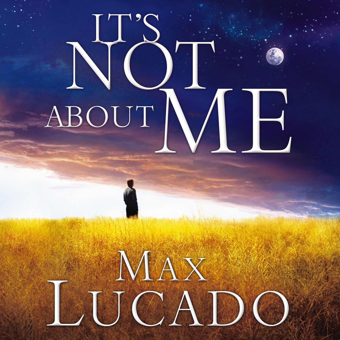 It's Not About Me: Rescue From the Life We Thought Would Make Us Happy
