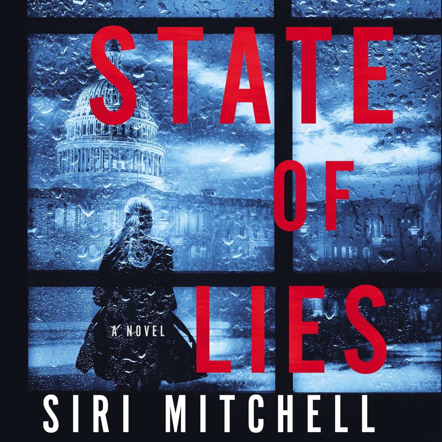 State of Lies: A Novel