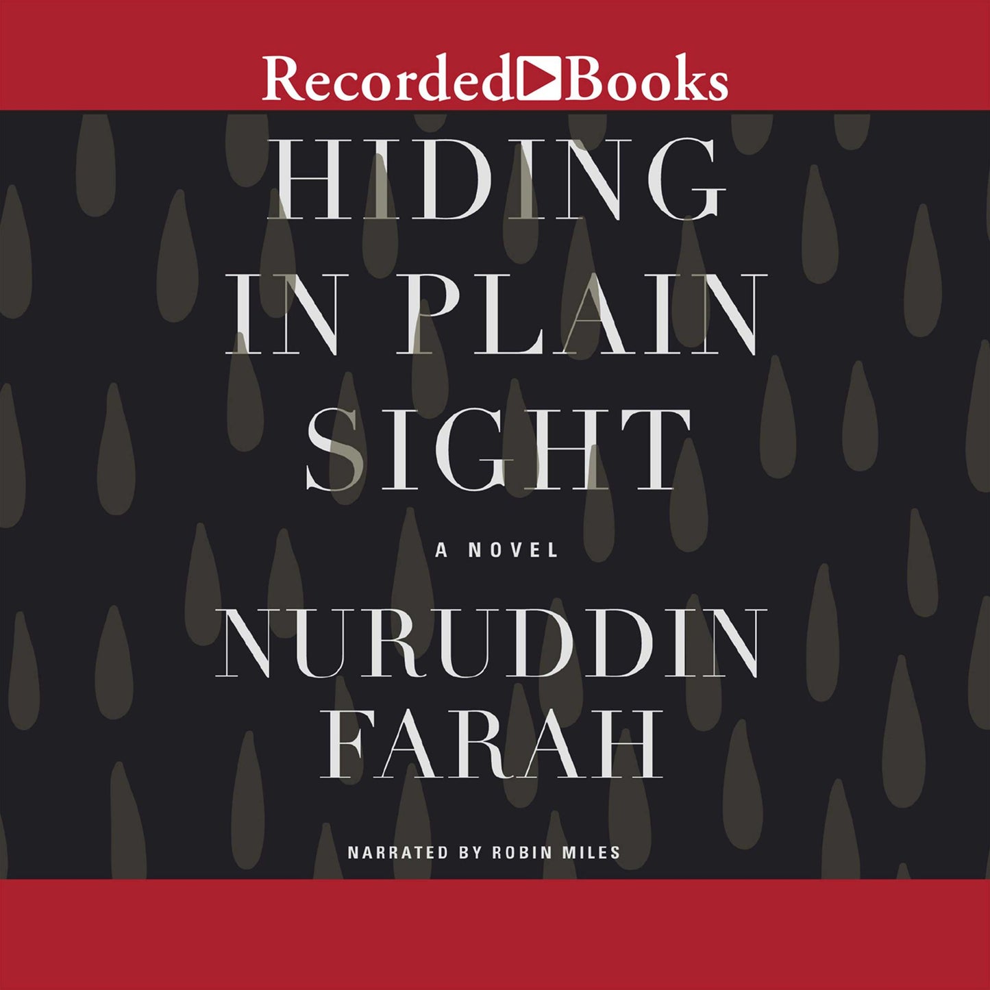 Hiding in Plain Sight: A Novel