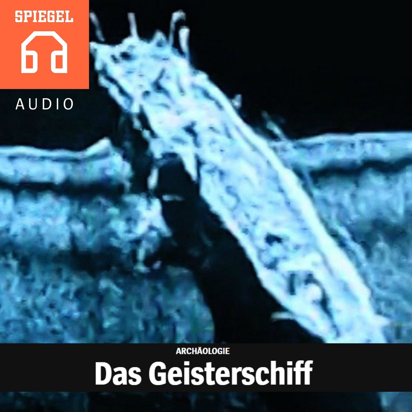 ARÂ­CHÃ¿OÂ­LOÂ­GIE - Das GeisterÂ­schiff: John Franklins Schiff "Terror". Ein Mythos.
