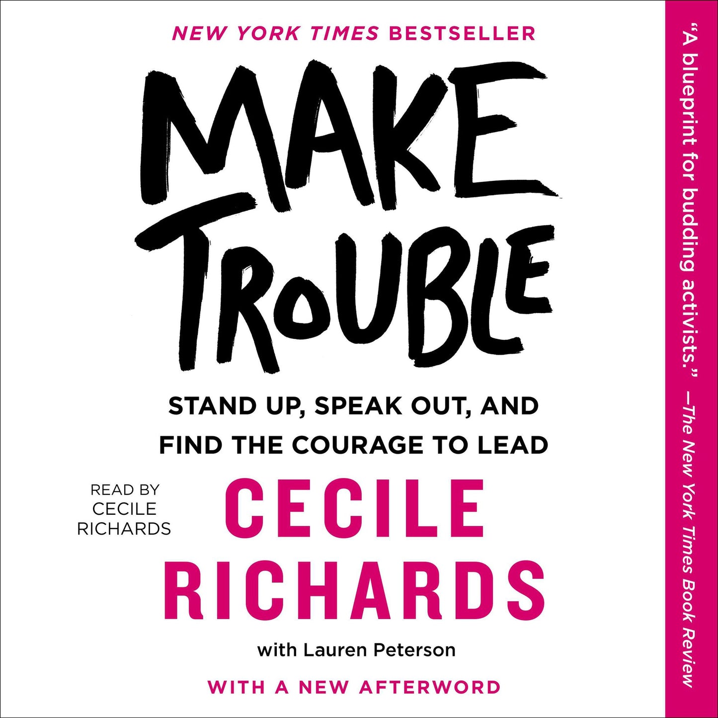 Make Trouble: Standing Up, Speaking Out, And Finding The Courage To Lead