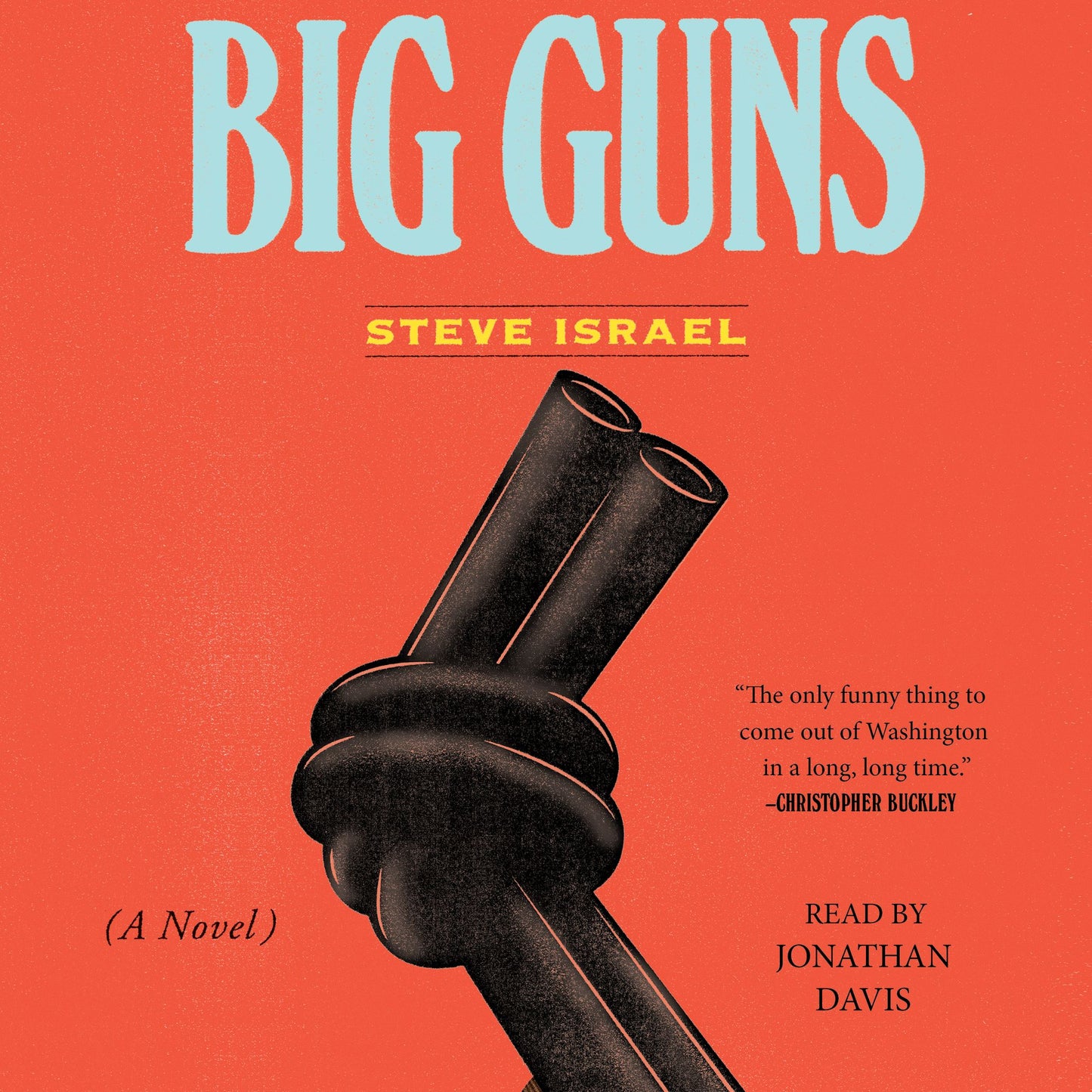 Big Guns: A Novel