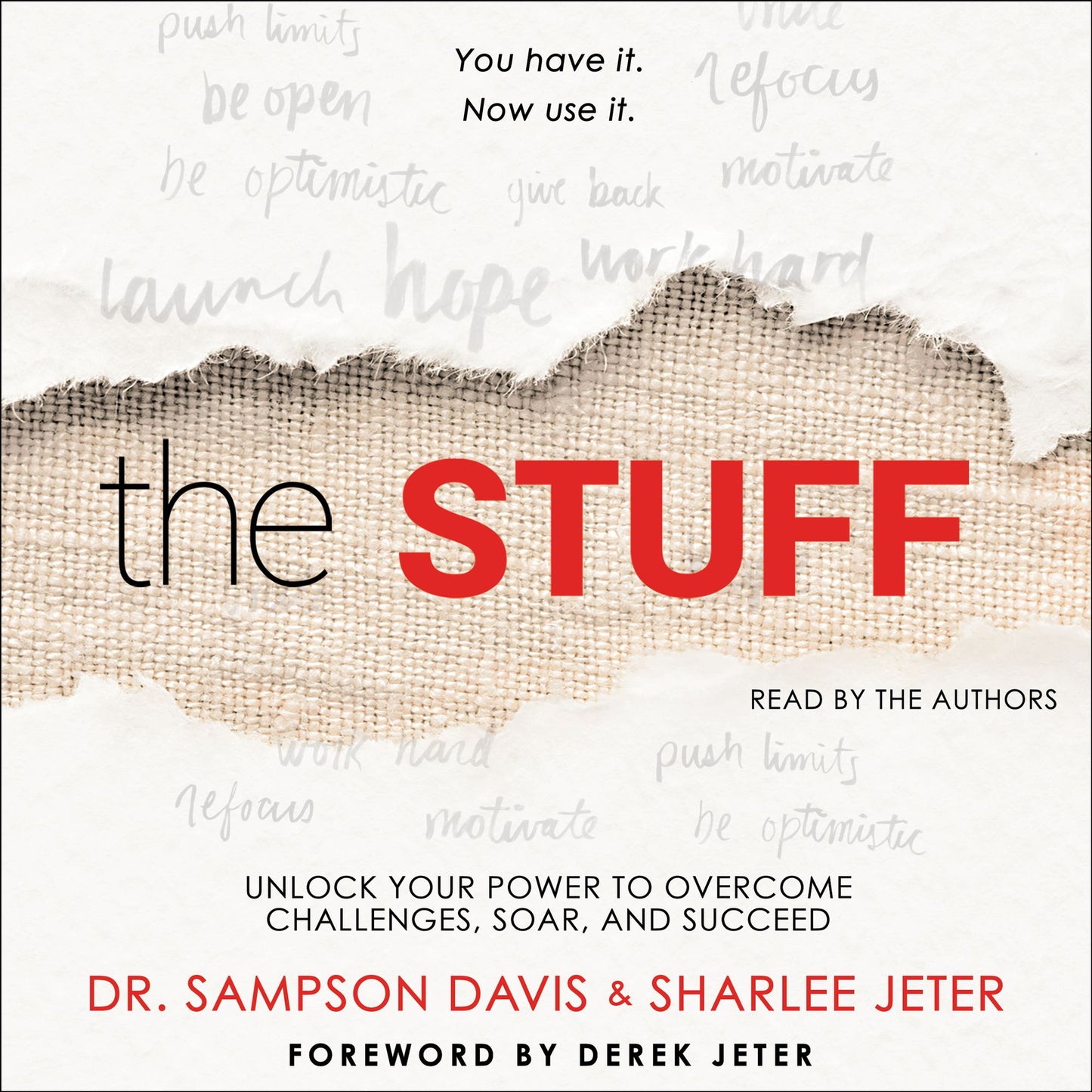 The Stuff: Unlock Your Power to Overcome Challenges, Soar, and Succeed