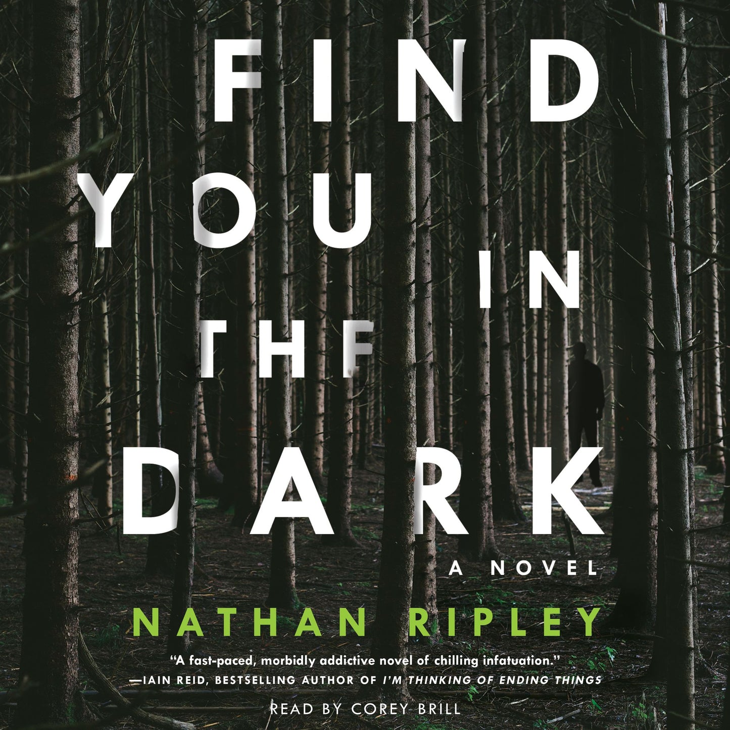 Find You in the Dark: A Novel