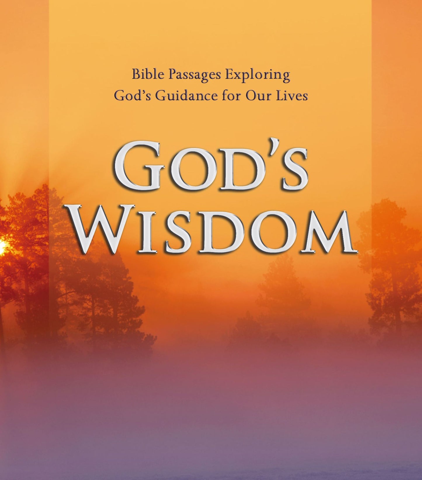 God's Wisdom: Bible Passages Exploring God's Guidance for Our Lives (Abridged)