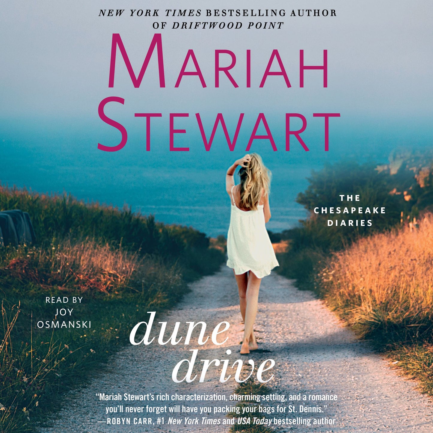 Dune Drive: The Chesapeake Diaries, Book 12