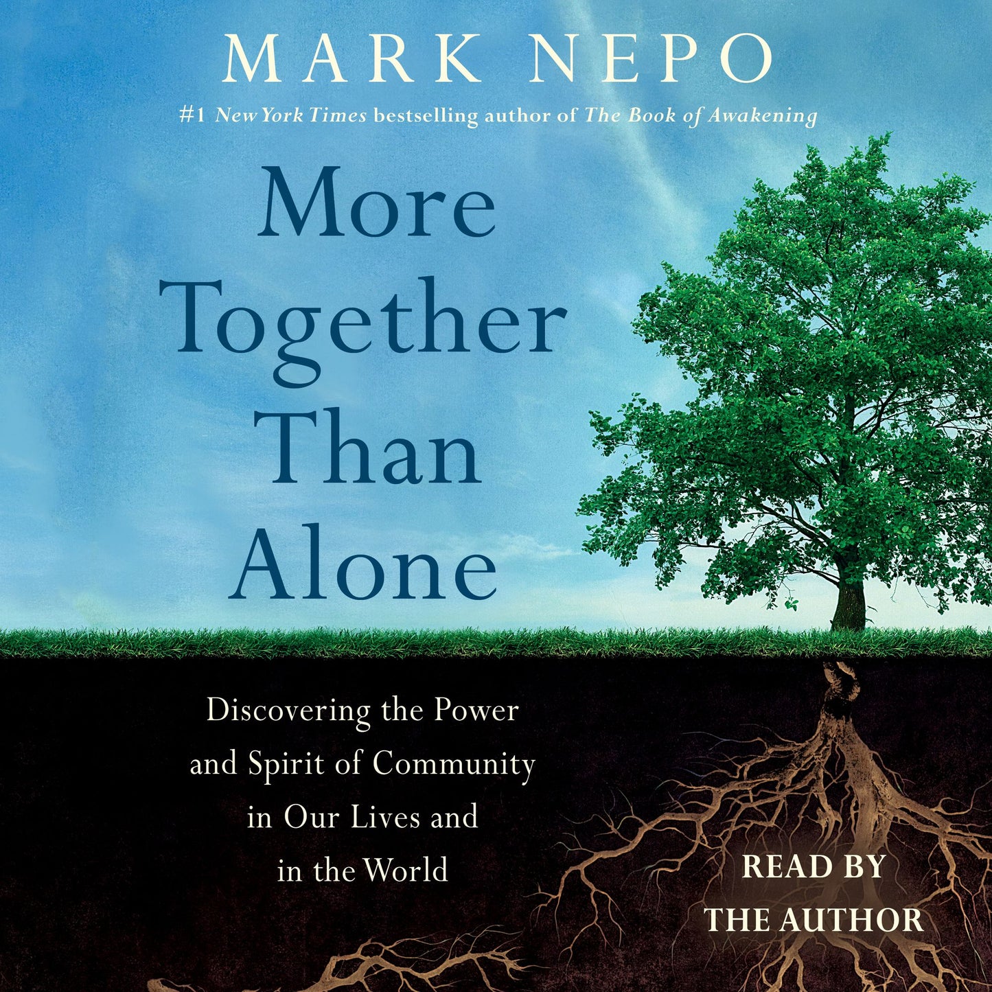More Together Than Alone: Discovering the Power and Spirit of Community in Our Lives and in the World