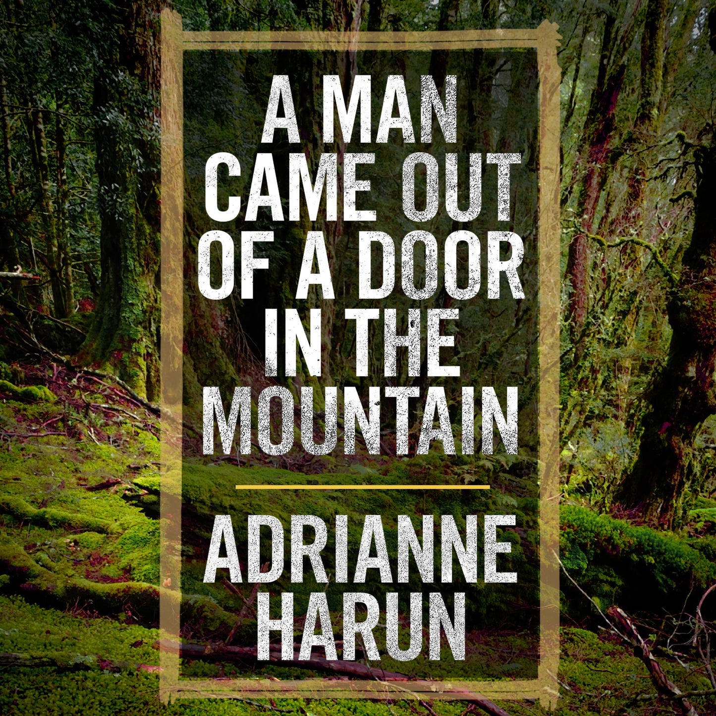 A Man Came Out of a Door in the Mountain
