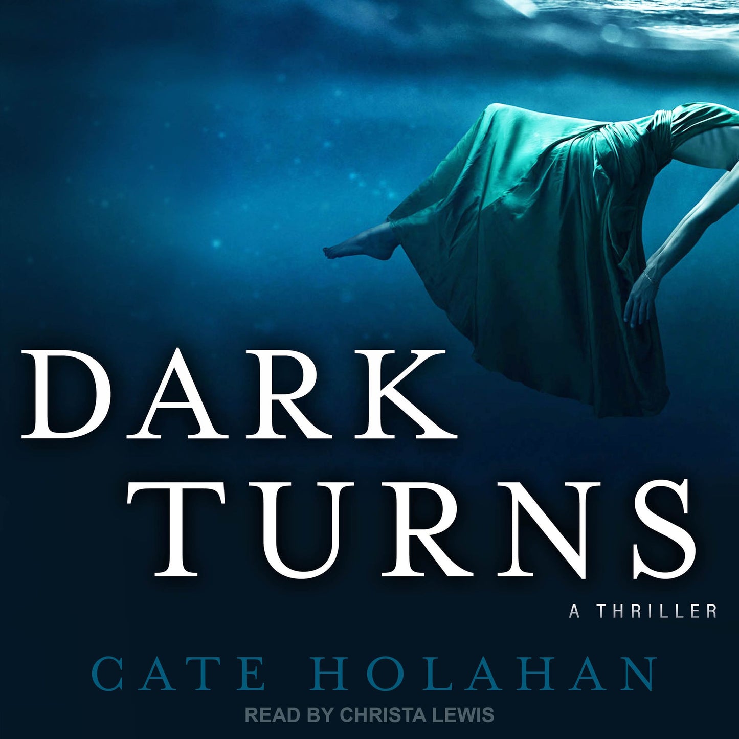 Dark Turns: A Thriller