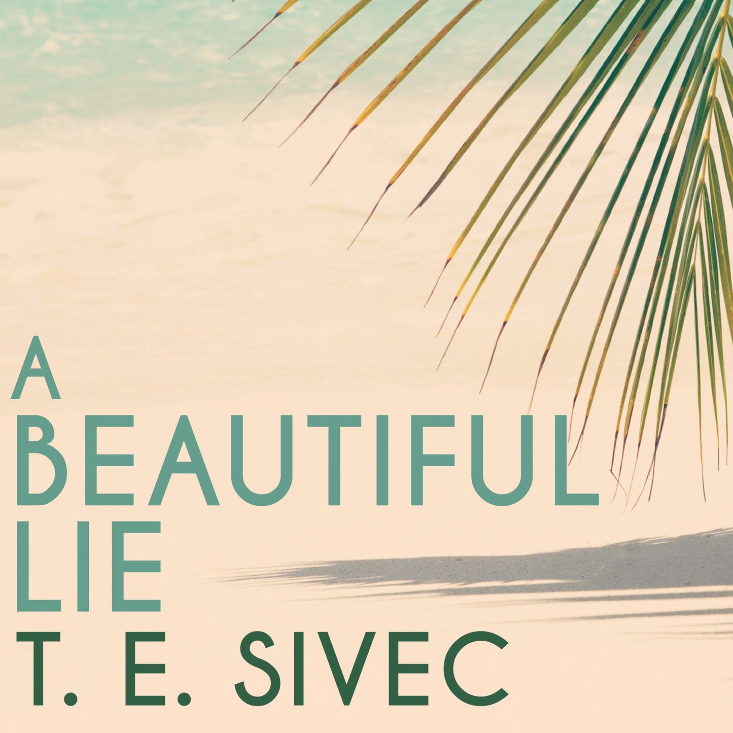 A Beautiful Lie
