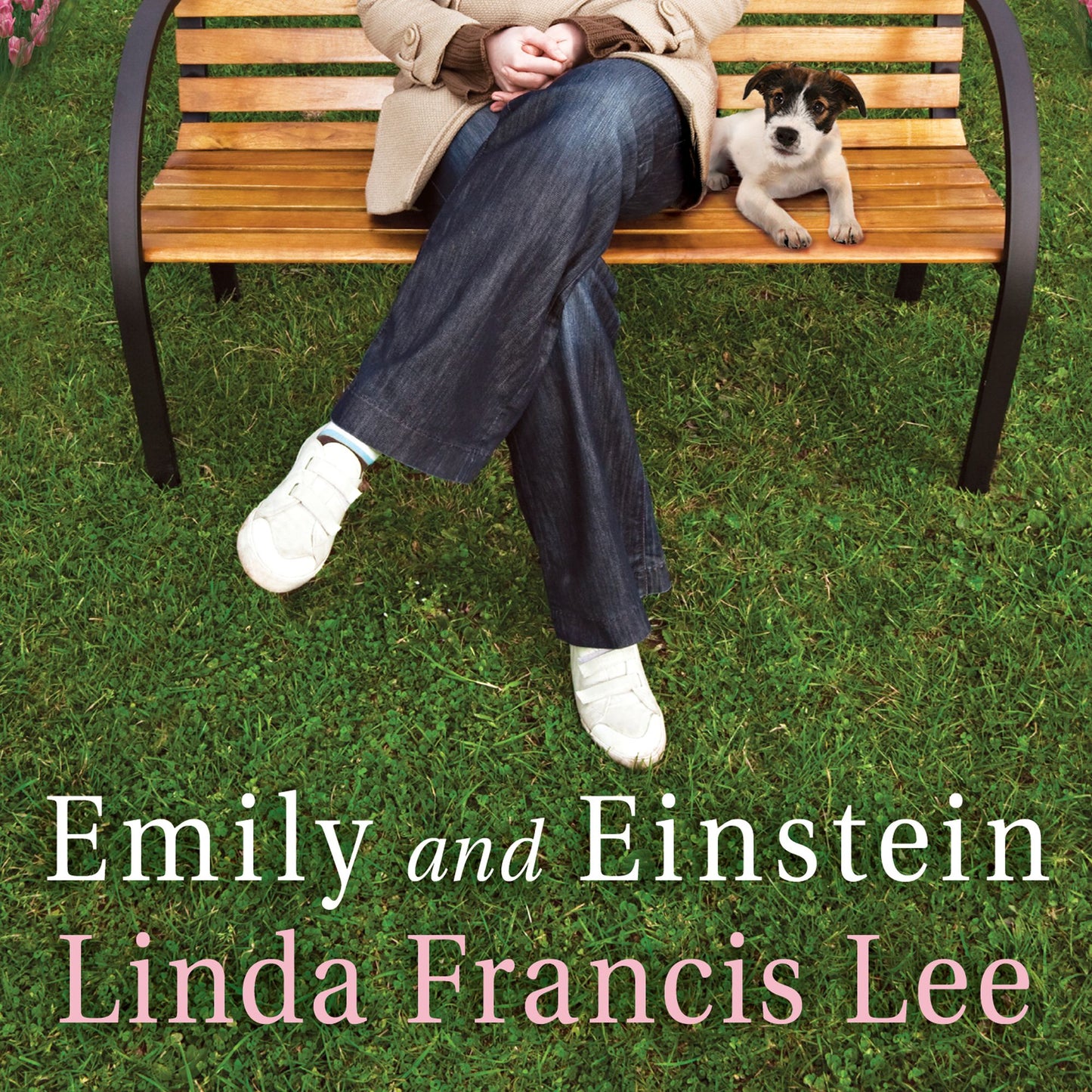 Emily and Einstein: A Novel of Second Chances