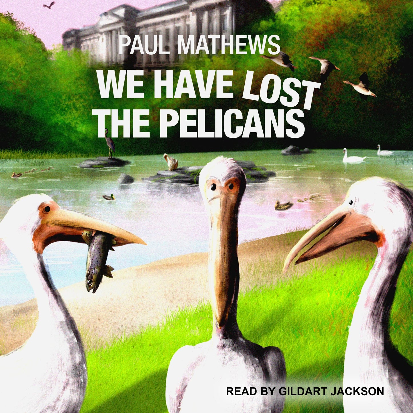 We Have Lost The Pelicans