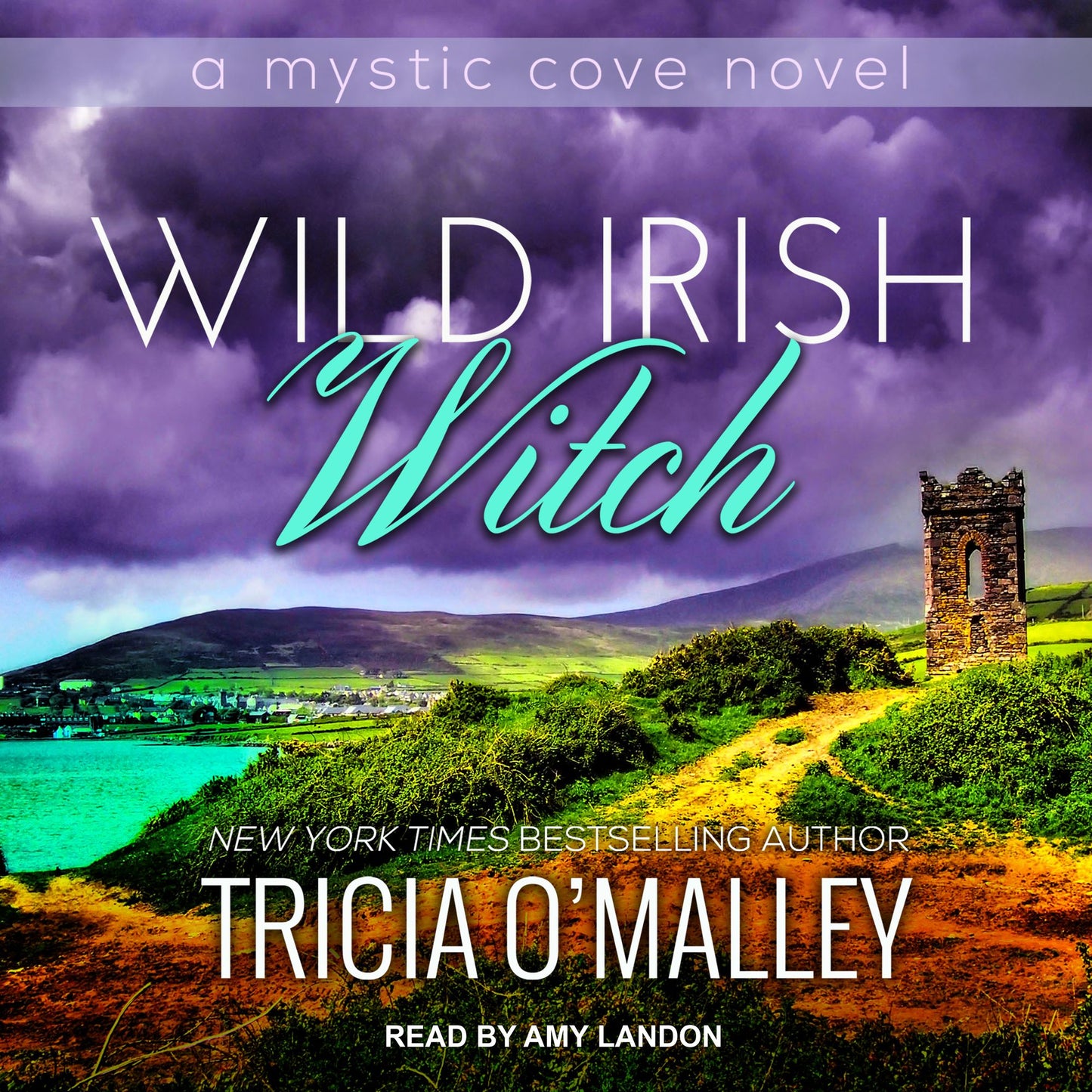 Wild Irish Witch : A Mystic Cove Novel