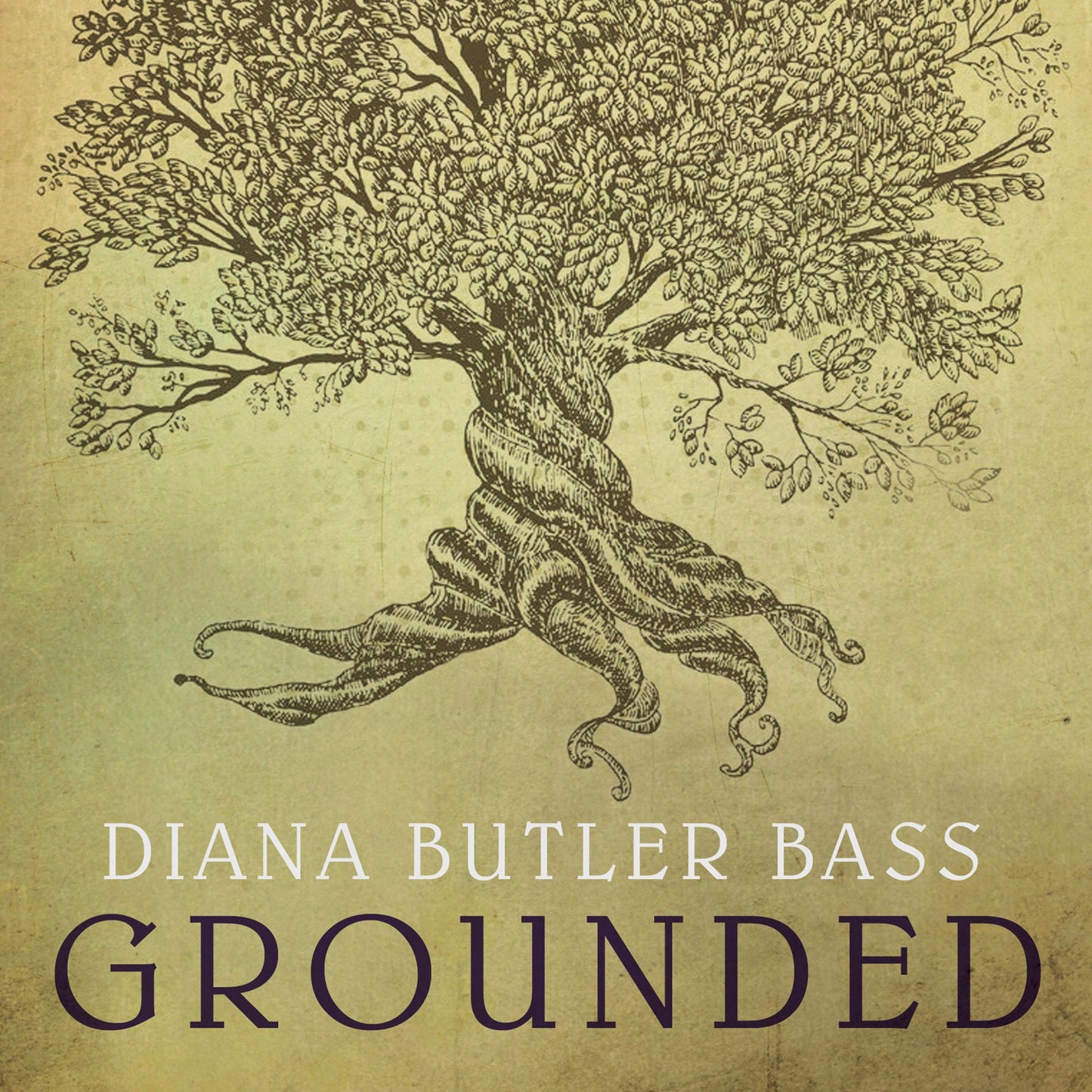 Grounded: Finding God in the World-A Spiritual Revolution