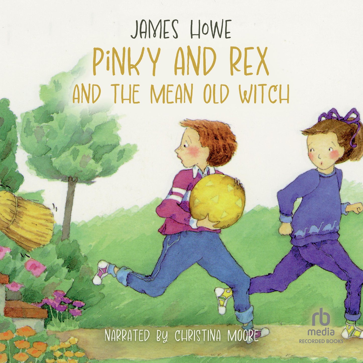 Pinky and Rex and the Mean Old Witch: Pinky and Rex, Book 2