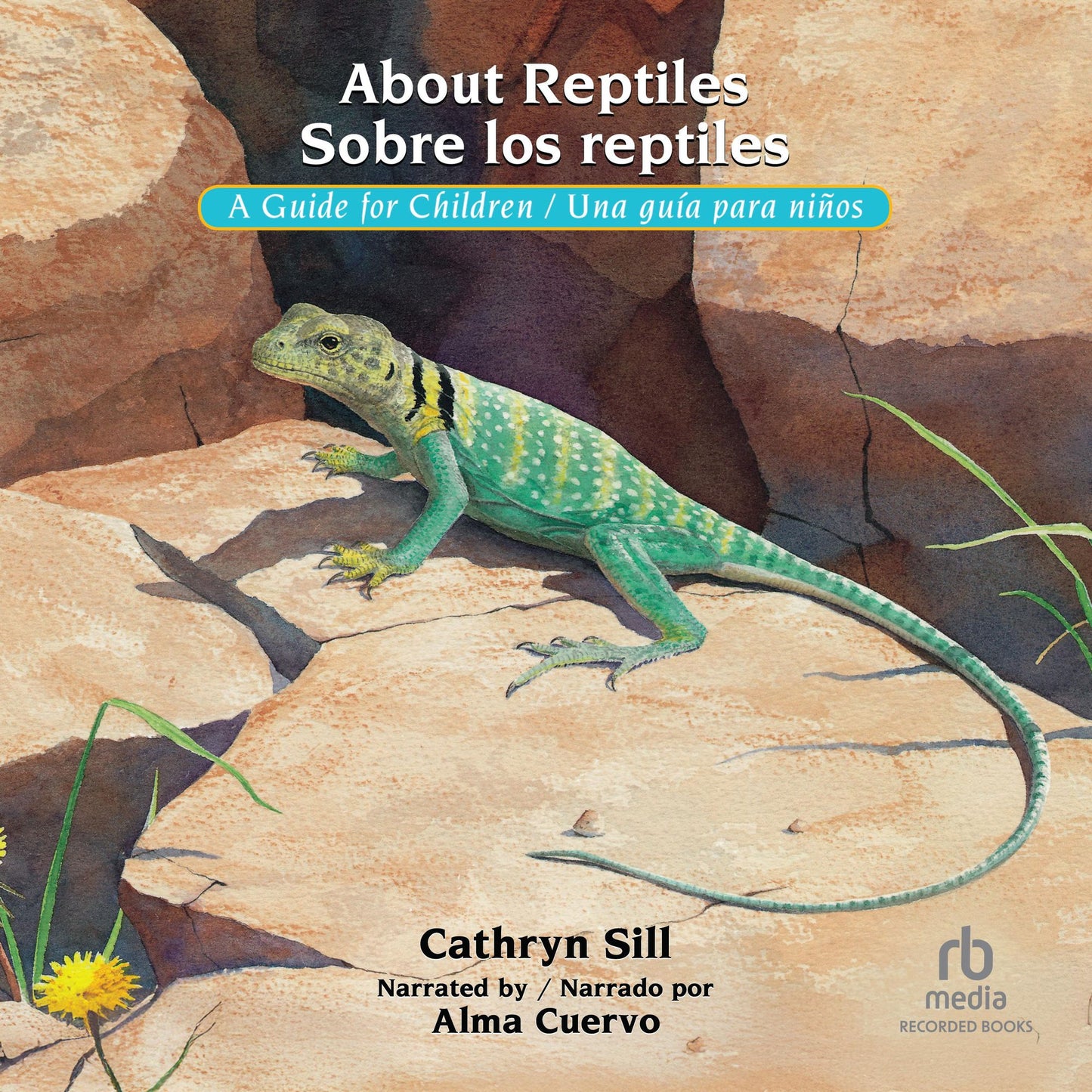 About Reptiles Sobre los reptiles: A Guide for Children Una gui'a para nin¿os