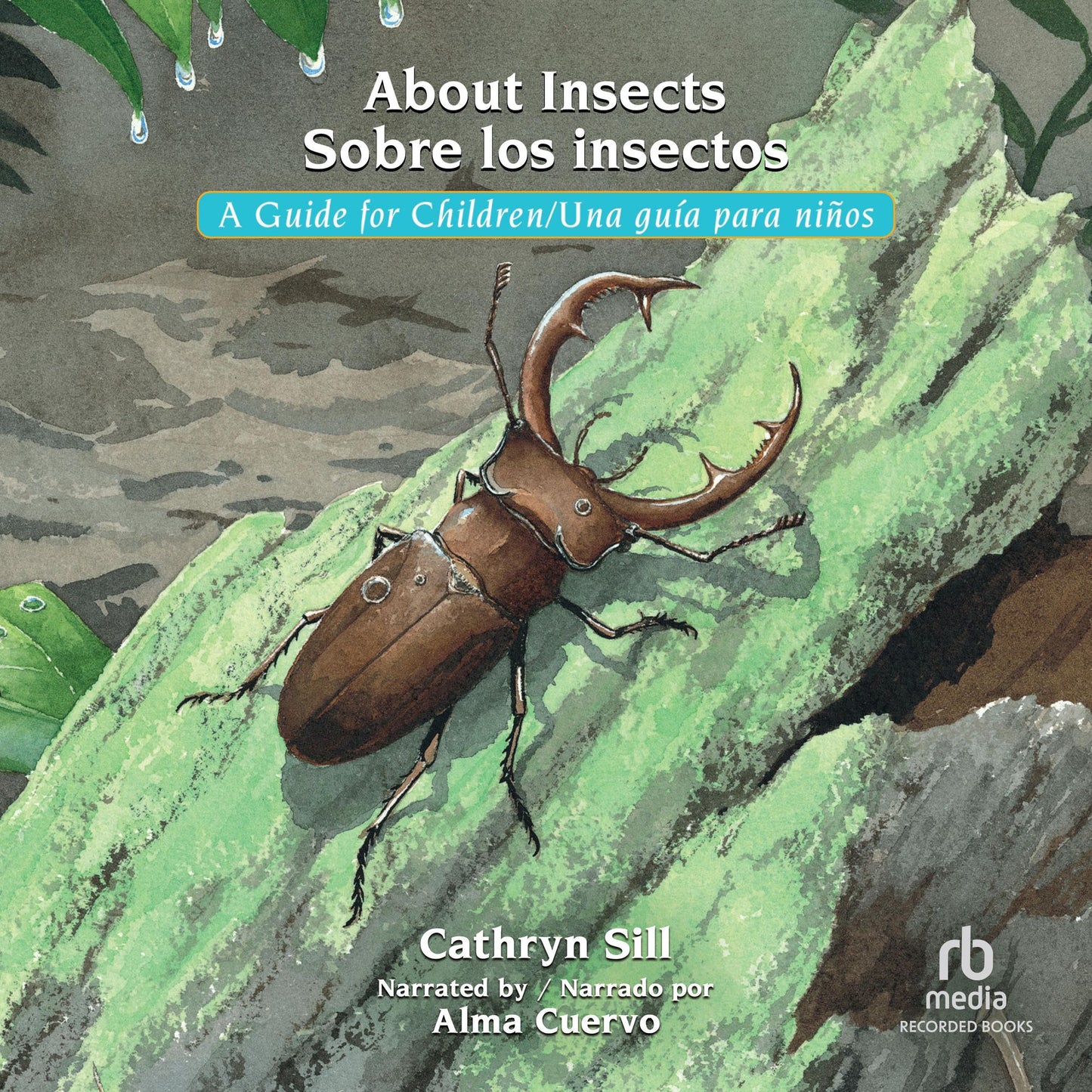 About Insects Sobre los insectos: A Guide for Children Una gui'a para nin¿os