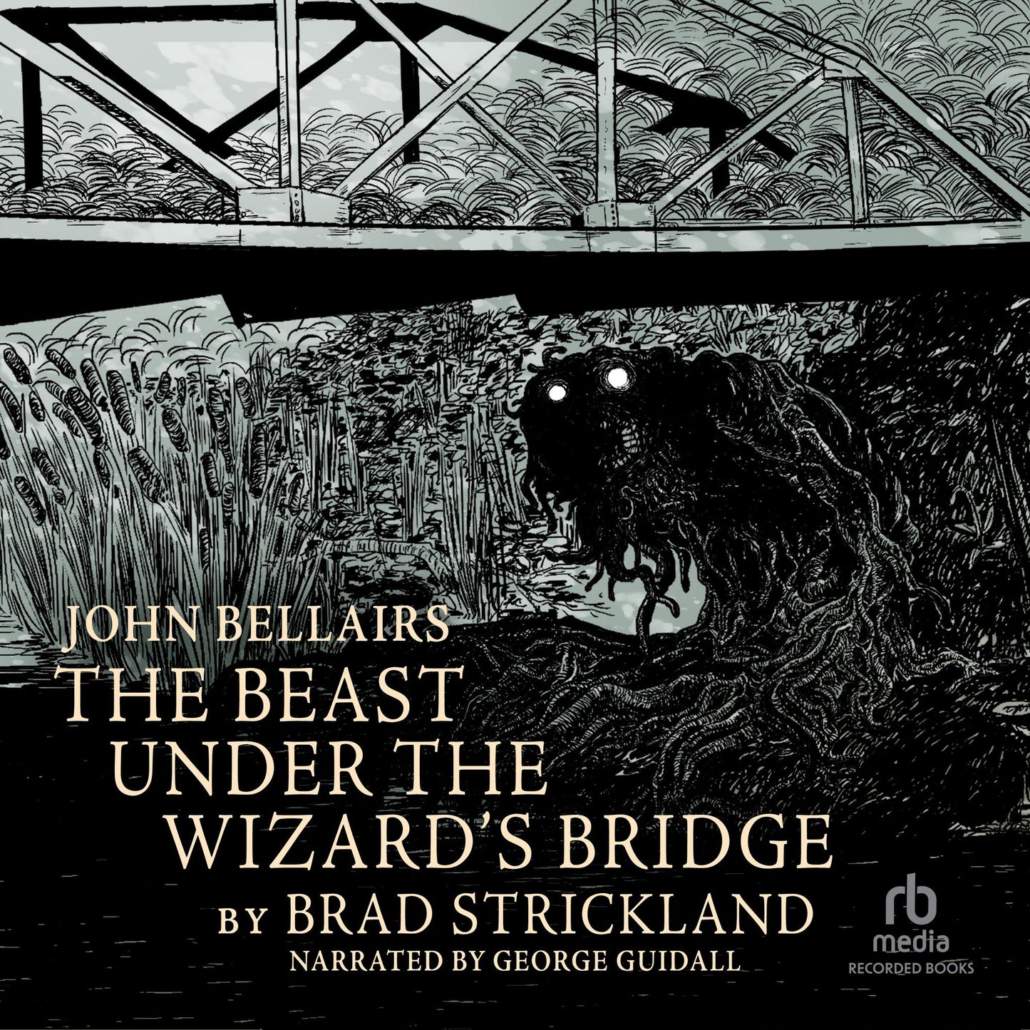 The Beast Under the Wizard's Bridge