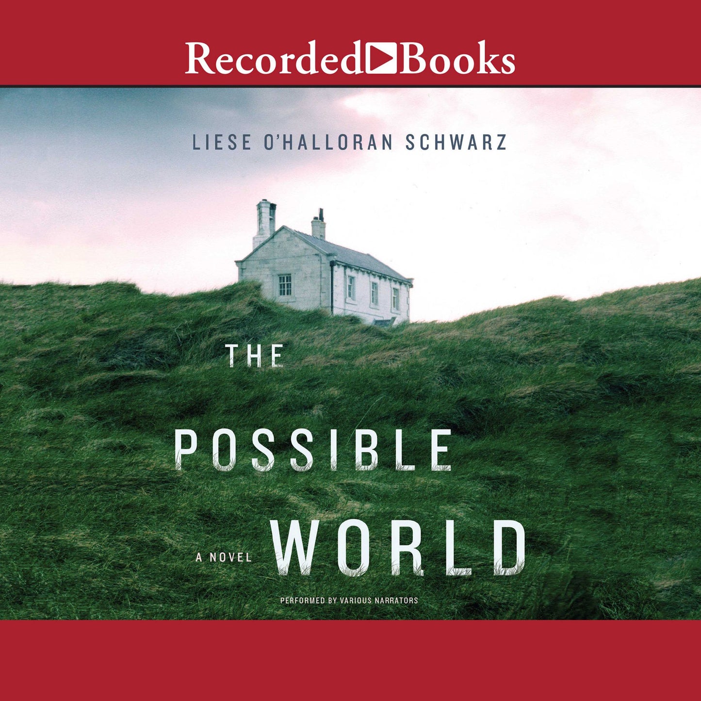 The Possible World: A Novel