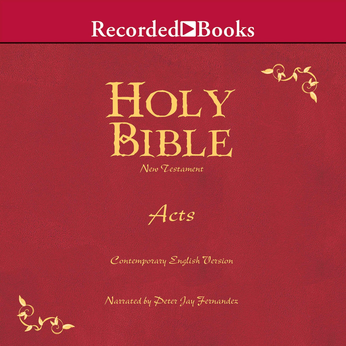 Holy Bible: New Testament, Acts