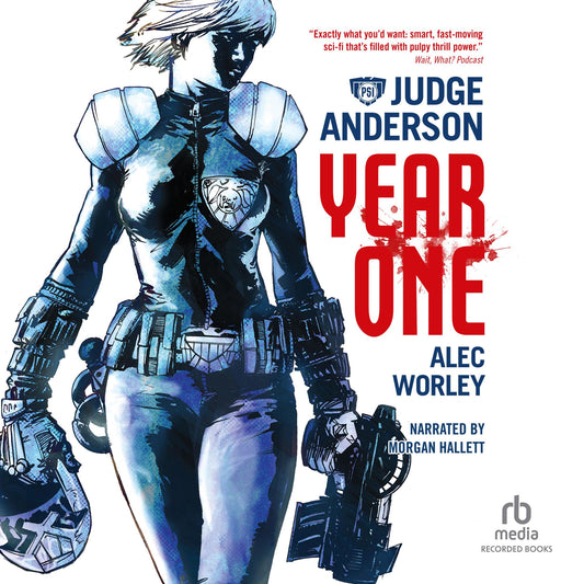 Judge Anderson: Year One