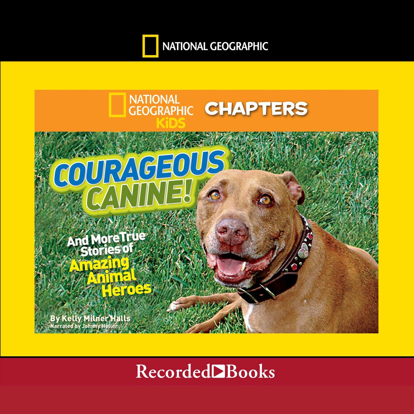 National Geographic Kids Chapters: Courageous Canine And More True Stories of Amazing Animal Heroes
