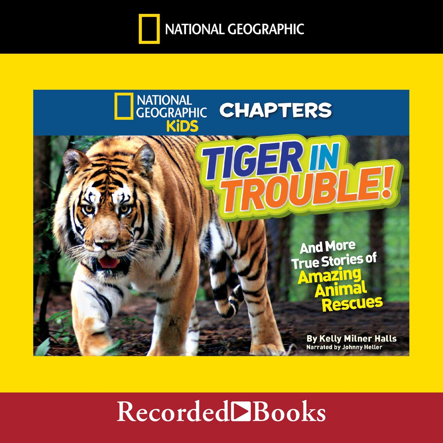 National Geographic Kids Chapters: Tiger in Trouble! And More True Stories of Amazing Animal Rescues