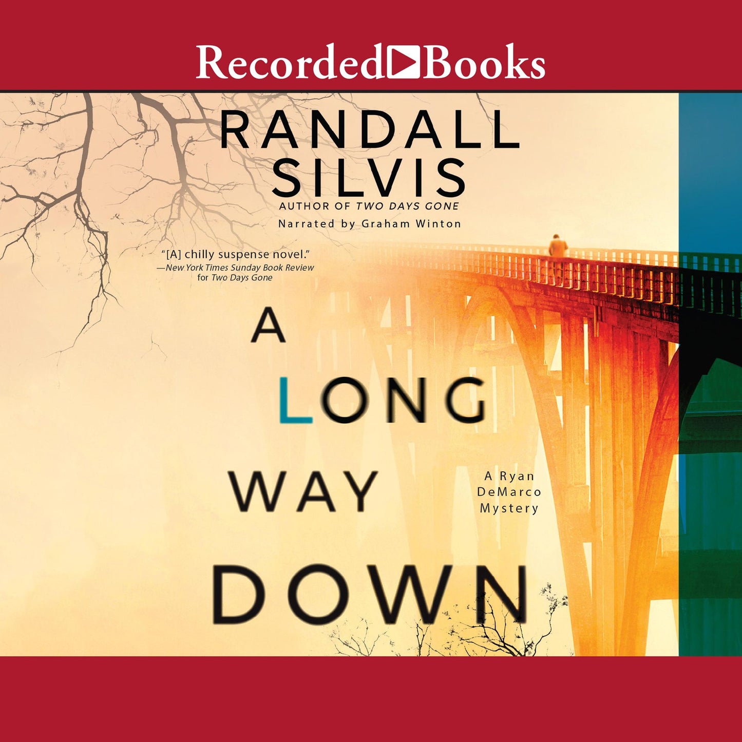 A Long Way Down: A Ryan DeMarco Mystery