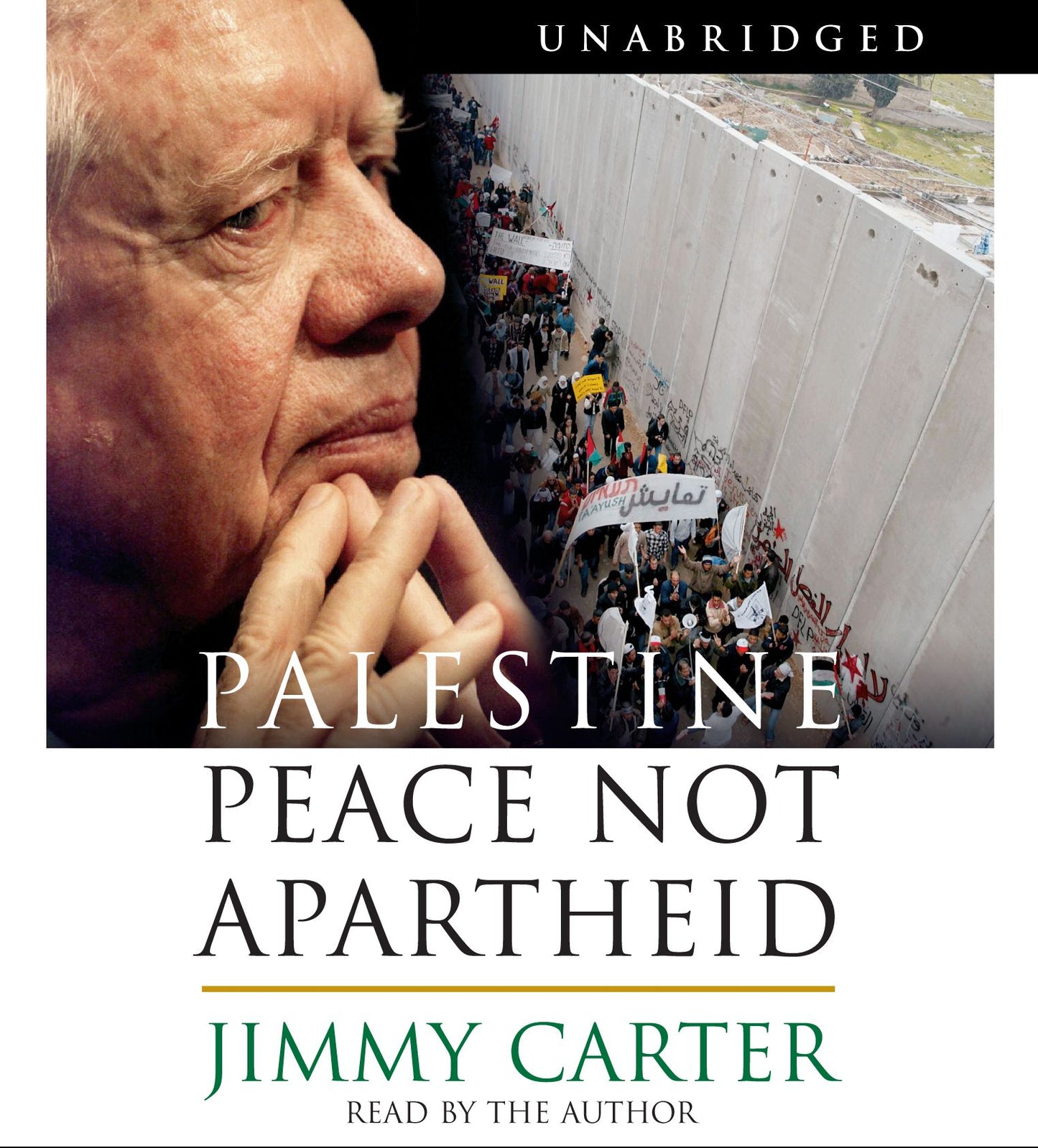 Palestine Peace Not Apartheid: Peace Not Apartheid