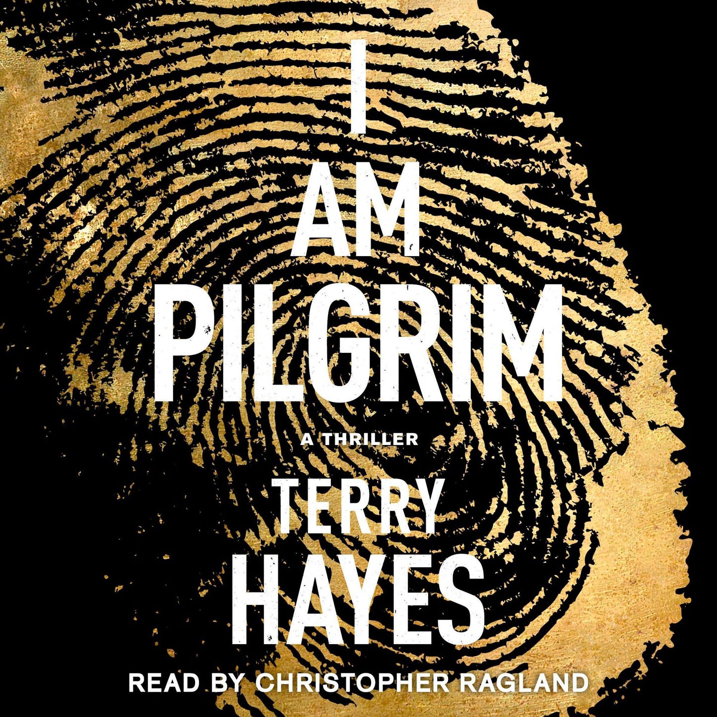 I Am Pilgrim : A Thriller