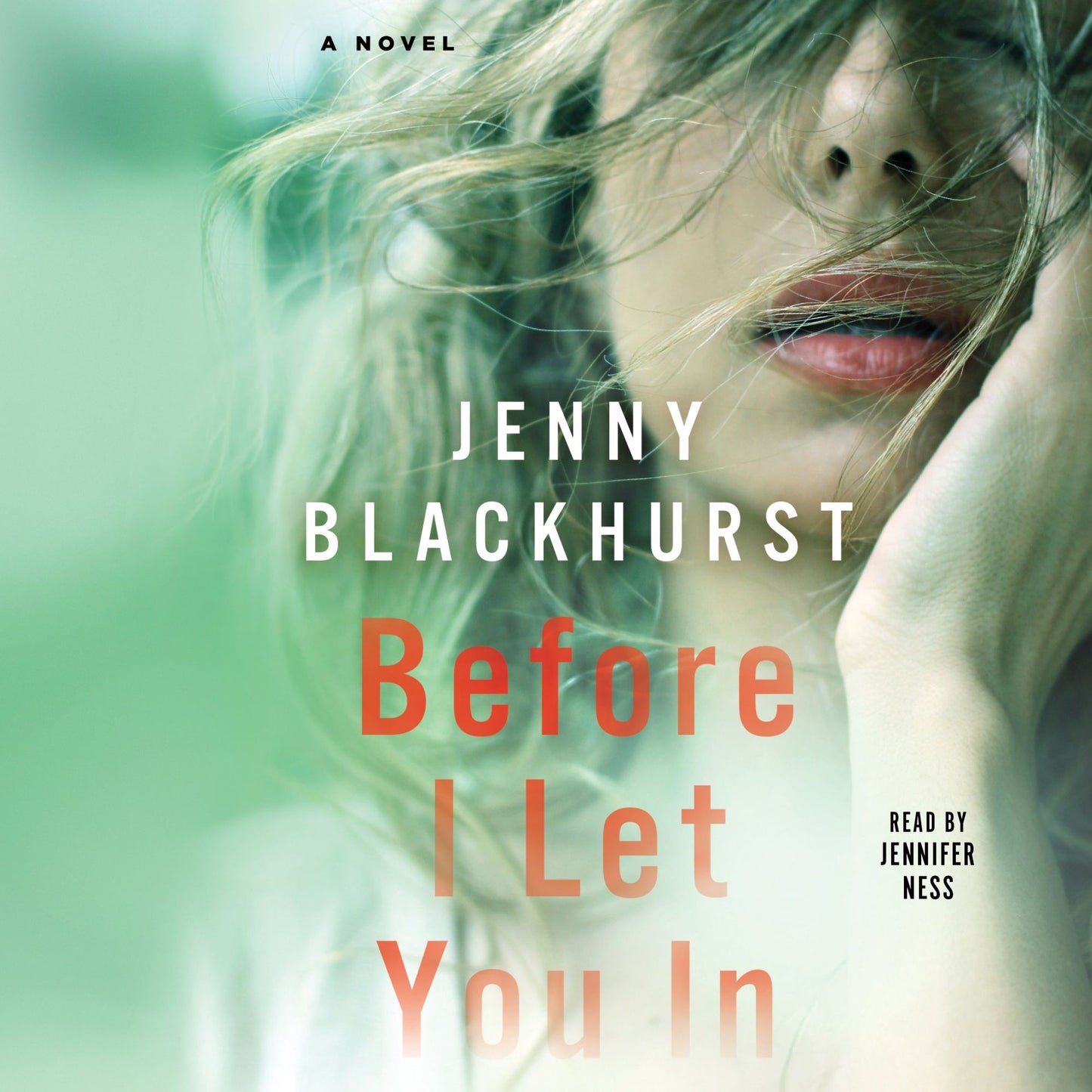 Before I Let You In : A Novel