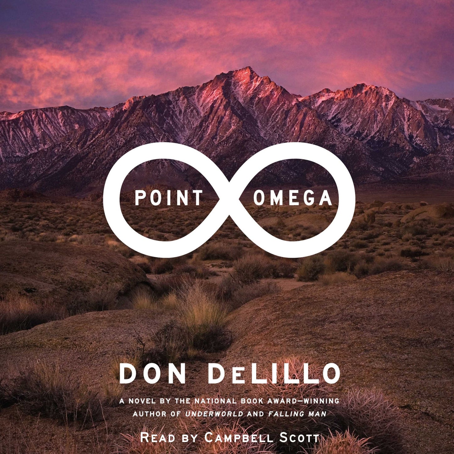 Point Omega: A Novel