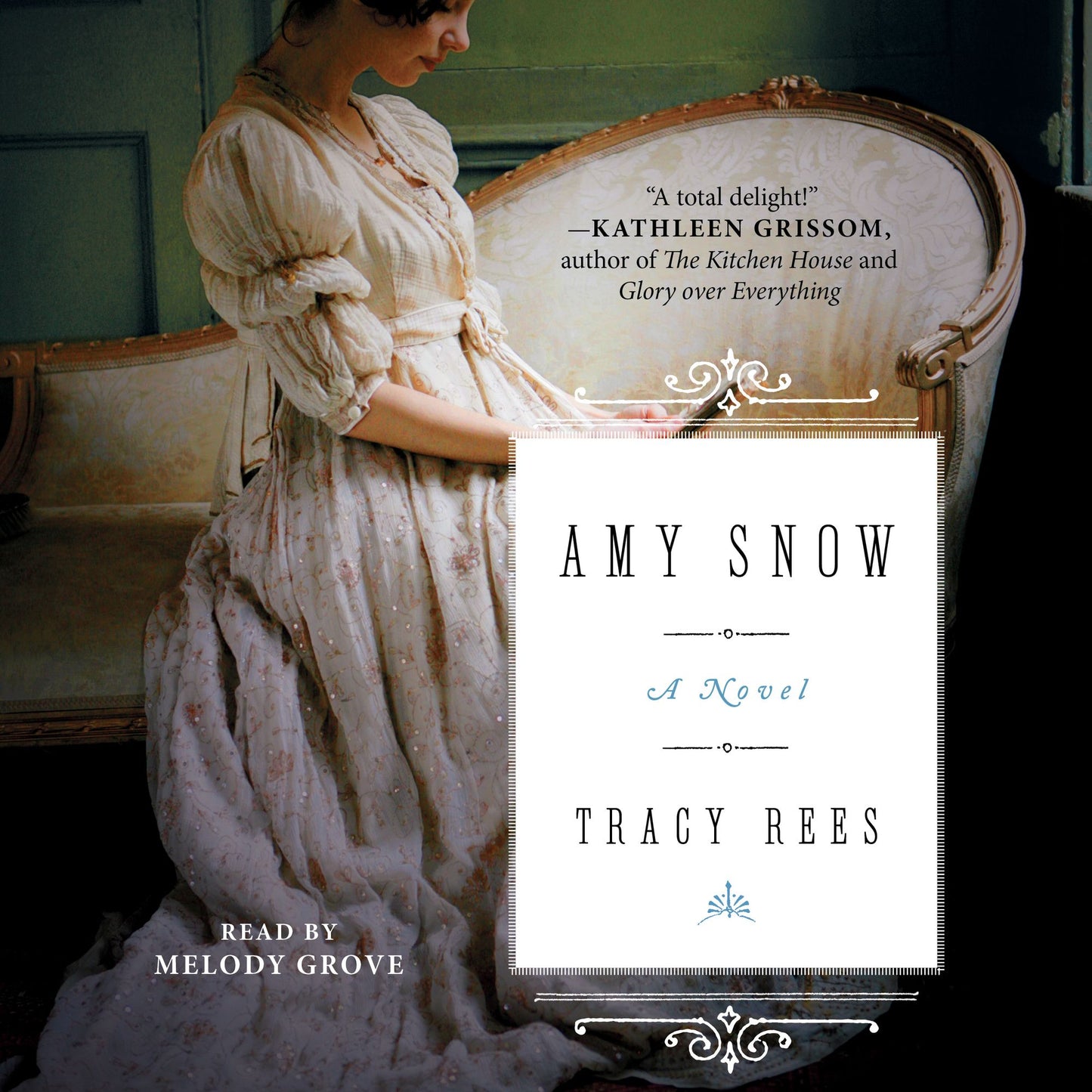 Amy Snow : A Novel