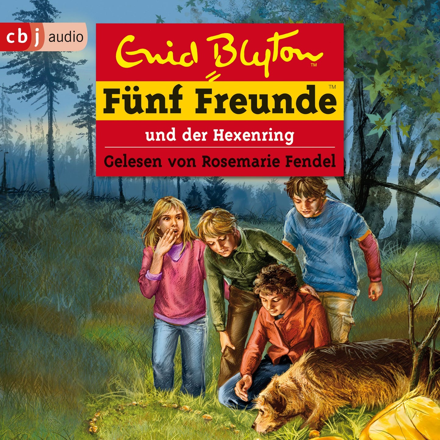 Fünf Freunde und der Hexenring: Band 53 (Abridged)