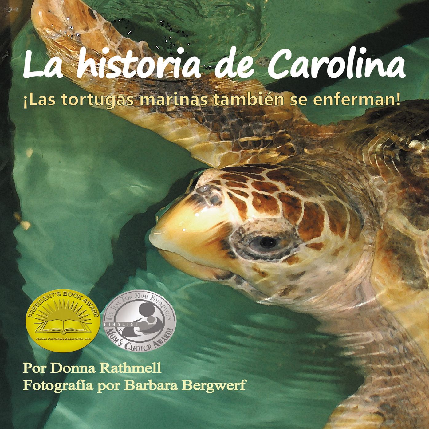 La historia de Carolina: Â¡las tortugas marinas tambien se enferman!