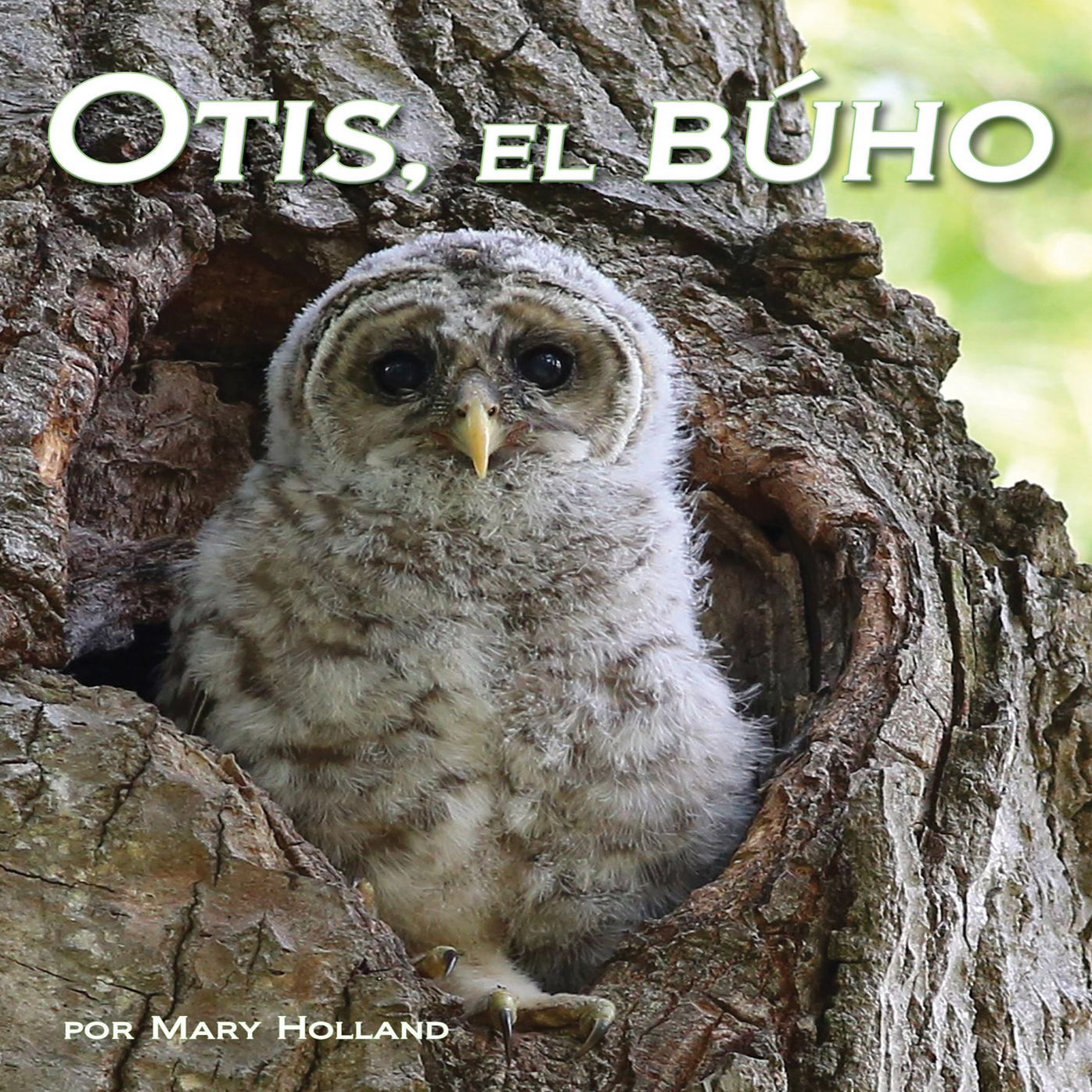 Otis, el bÃºho
