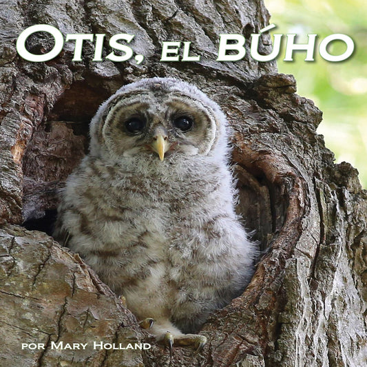 Otis, el bÃºho