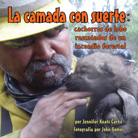 La camada con suerte: cachorros de lobo rescatados de un incendio forestal