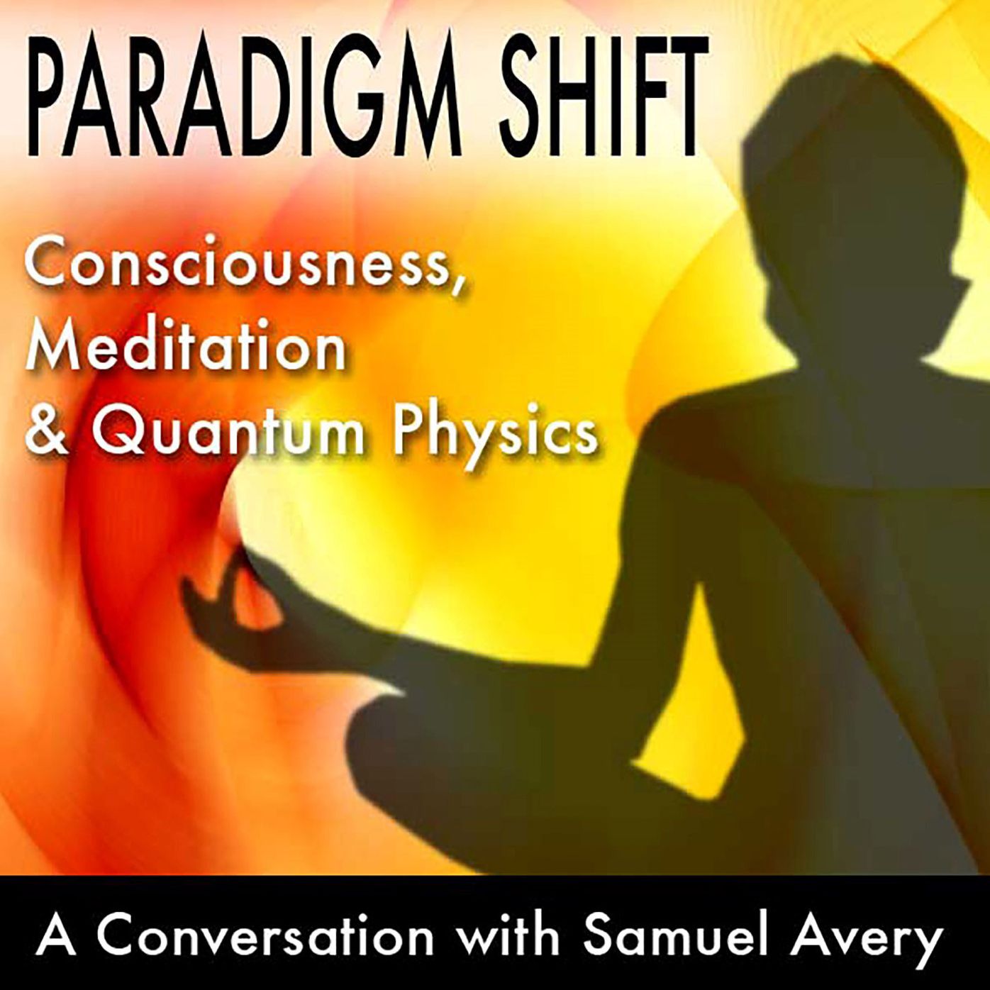 Paradox, Illusion and the Post-Spiritual Inquiry: A Conversation with Steven Harrison