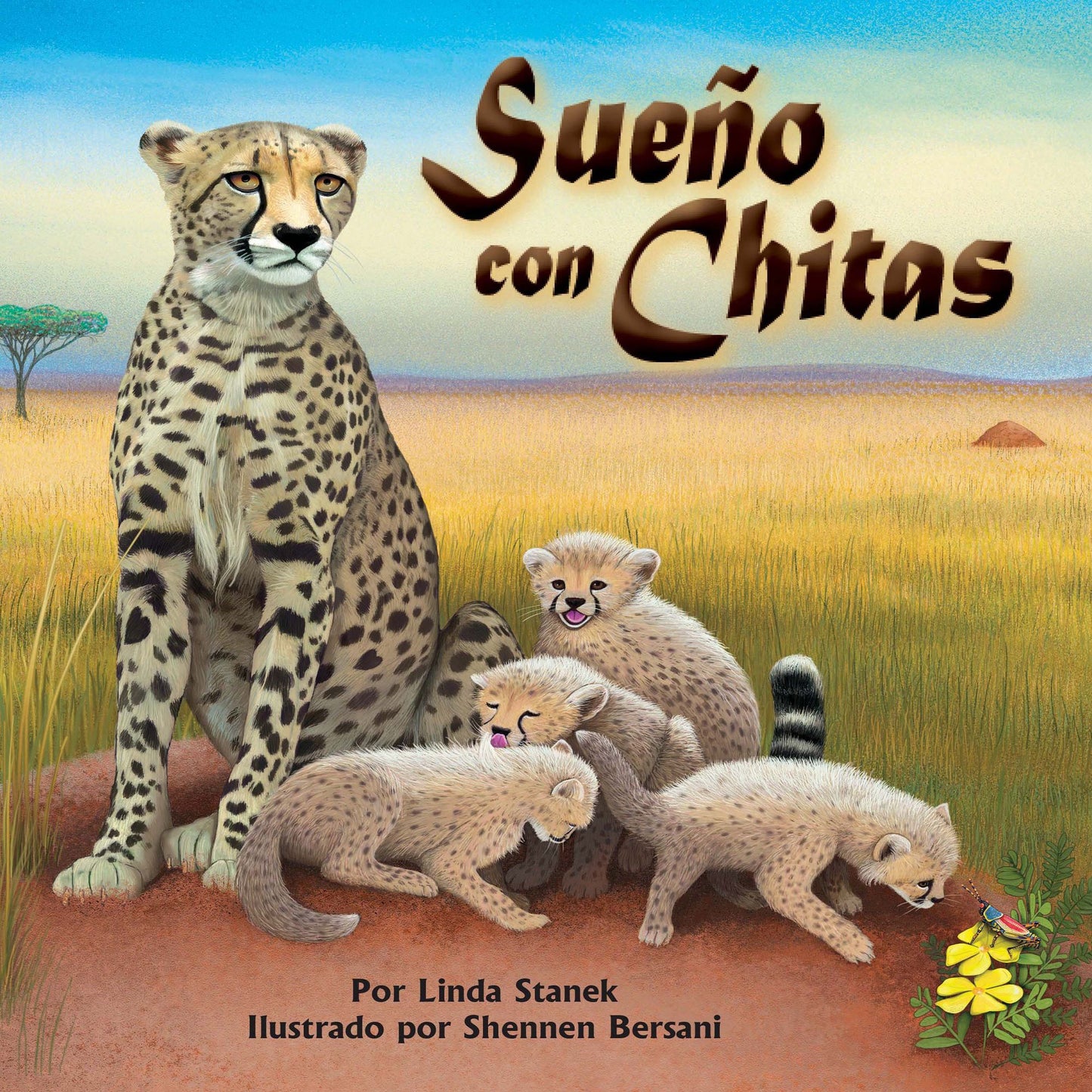 SueÃ±o con chitas